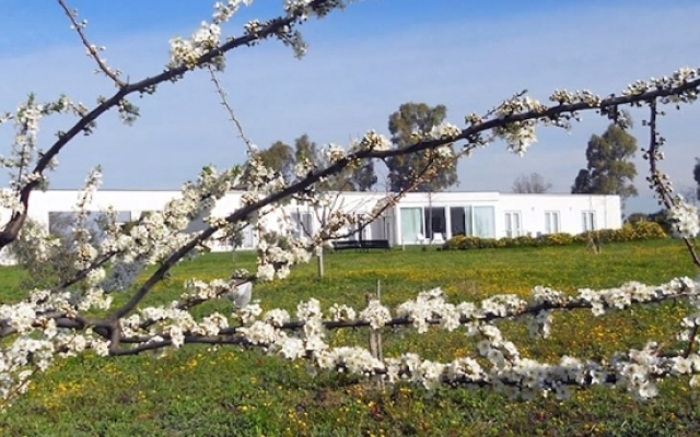 Costantucci Country House
