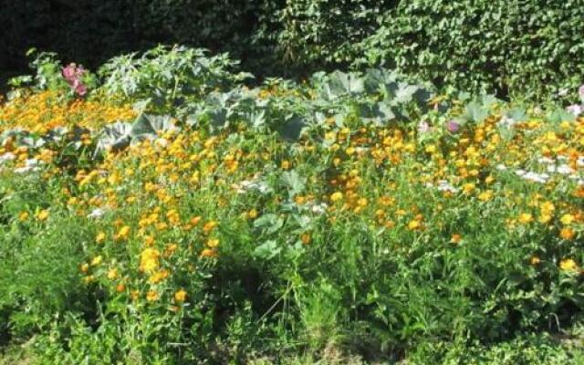 Les Chambres du Manoir de Guitry