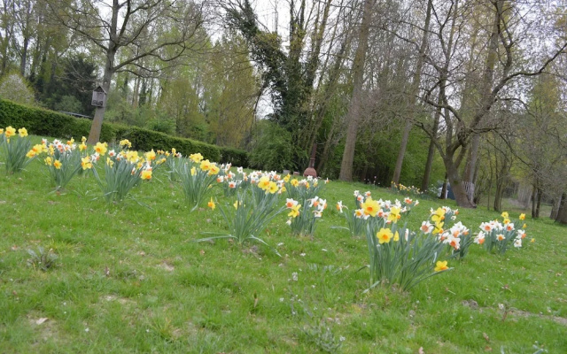Vakantiewoning De Pluktuin