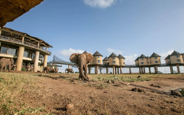Salt Lick Safari Lodge