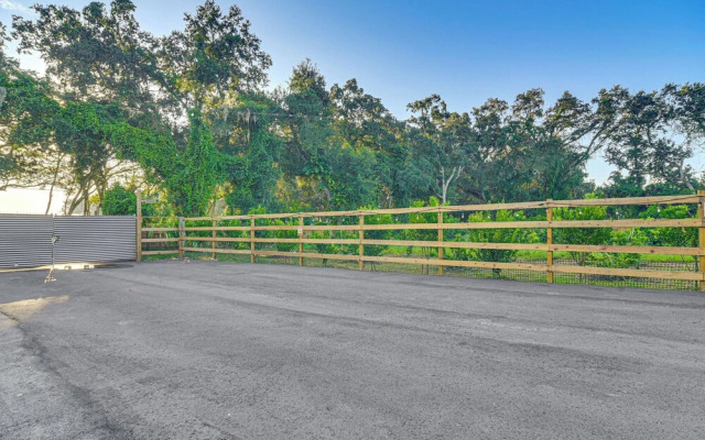 Tropical Tampa Home: Pets Welcome!