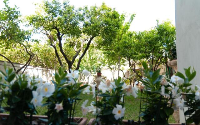 Casa Teresinella Garden