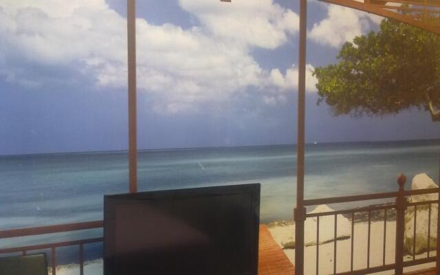 Мальта на Малахова