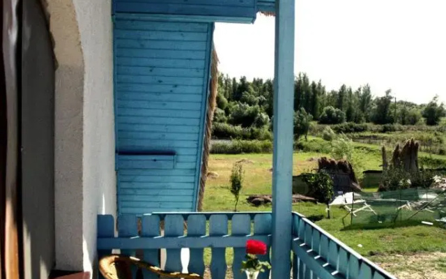 Vulturul Pescar