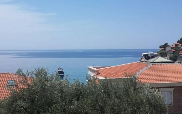 Apartments Andjus