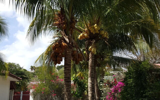 Besundi Apartments Curaçao