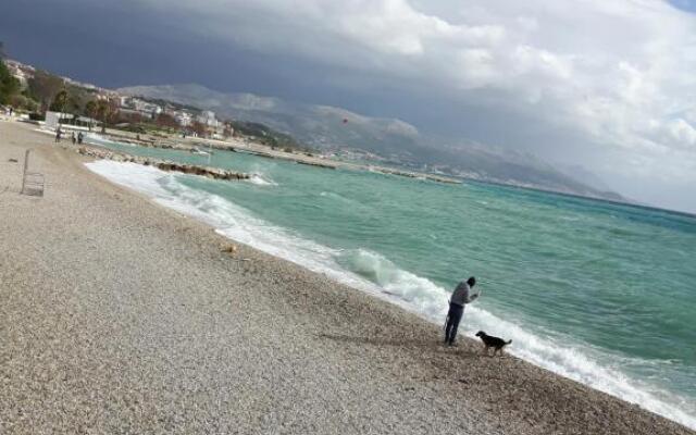 Apartment Trstenik