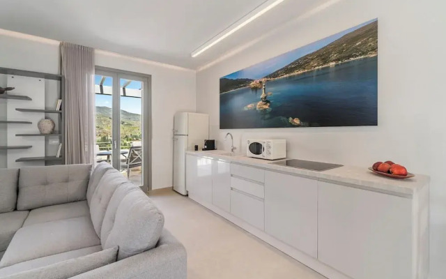 Suite Home Villas with Private Pools by Explore Andros