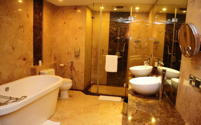 Radisson Blu Plaza Delhi Airport