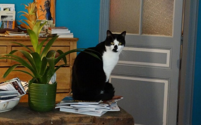 Chambre d'Hôtes Girolles les Forges (B&B)