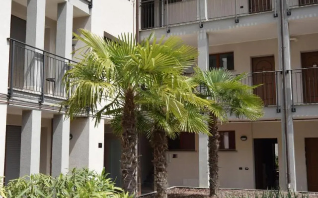 Ulivo8