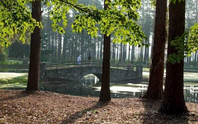 Little Ocmulgee State Park and Lodge