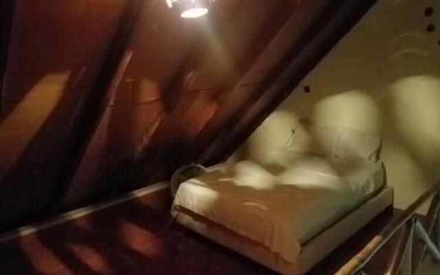 Nexpa Surf Cabanas Mar De Noche