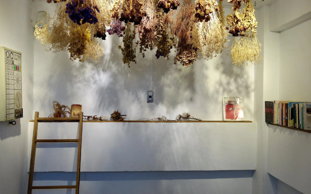 Oldmancaptain Hostel