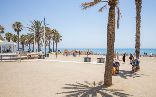 Malagueta Beach and Downtown