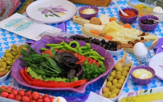 Levin Hanım Konağı