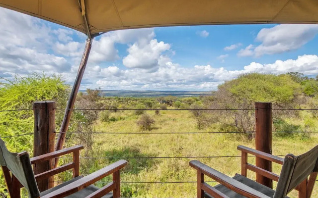 Tarangire Kuro Treetop Lodge