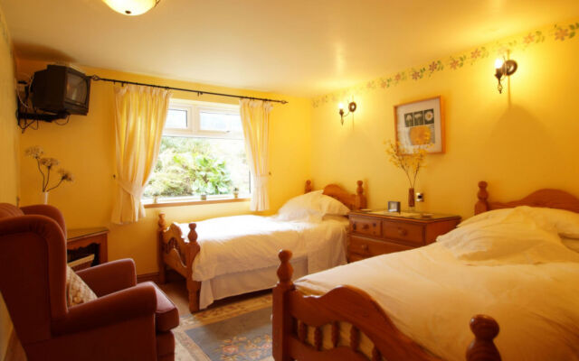 Holiday Home Yr Hen-Ryd