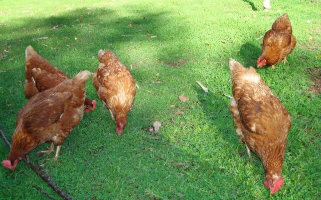 Margaret River Chalets