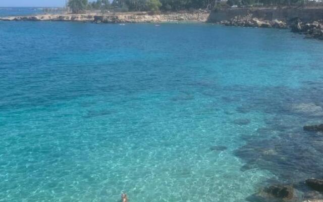One-bedroom beach apartment, 30m from the best beach
