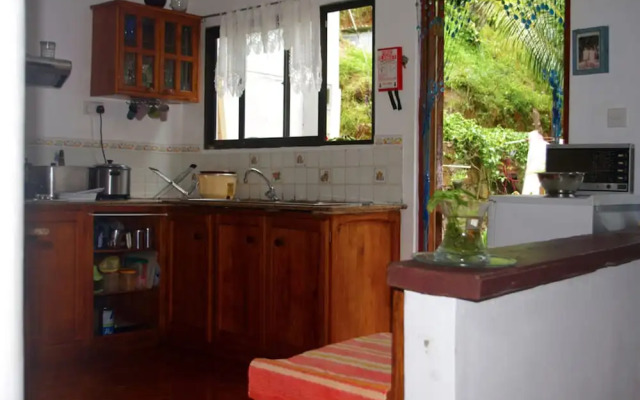 Papaya Guesthouse