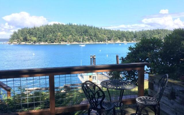 Friday Harbor Lights