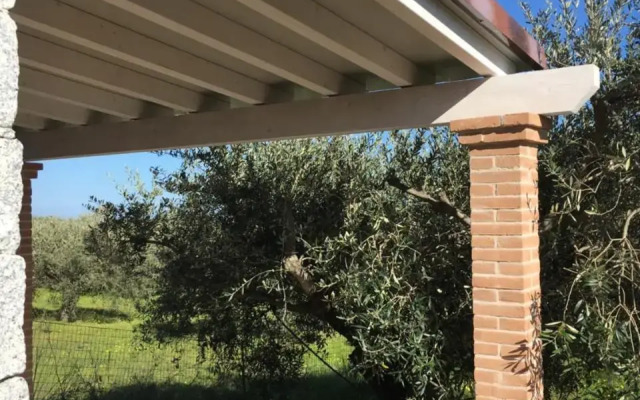 Sa Tanca De Mannoi