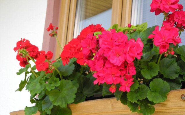 Appartement Am Tatscherlehen