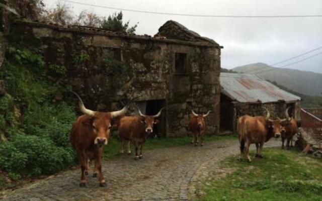Casa do Ramiscal - Eido do Pomar