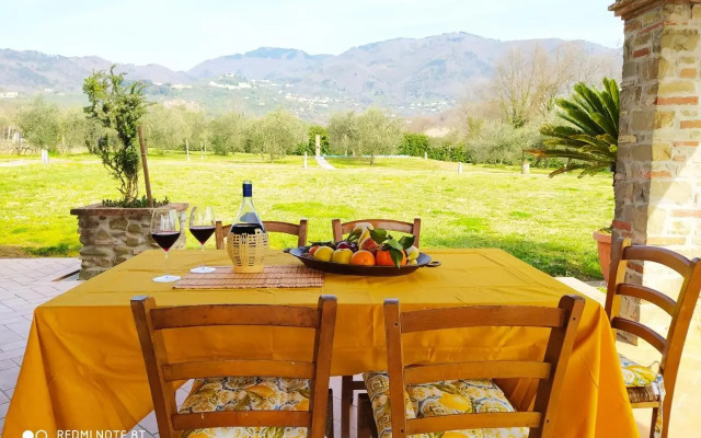 Ringo Country House