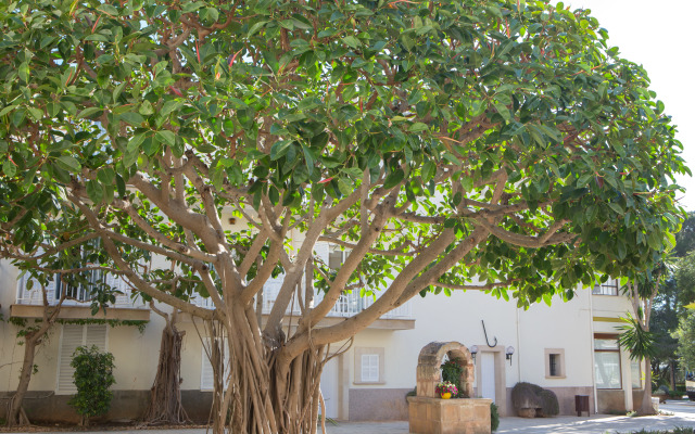 Hotel Castell dels Hams