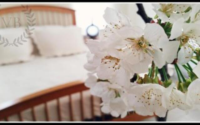 Villa Bella By The Sea - Heated Pool, Jacuzzi, Sauna