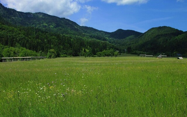 Beautiful Apartment in Bohinjska Bistrica near Forest