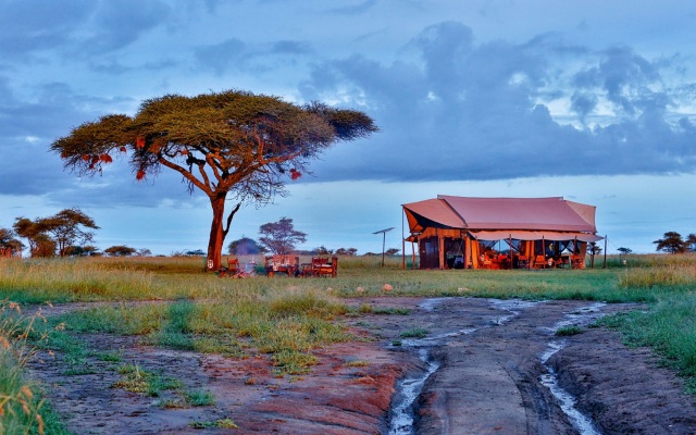 Pumzika Luxury Safari Camp - East Africa Camps