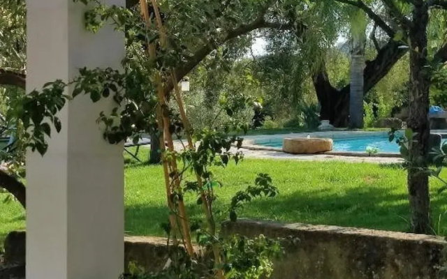 The Olivestone Village - Yoga Retreat Paradise