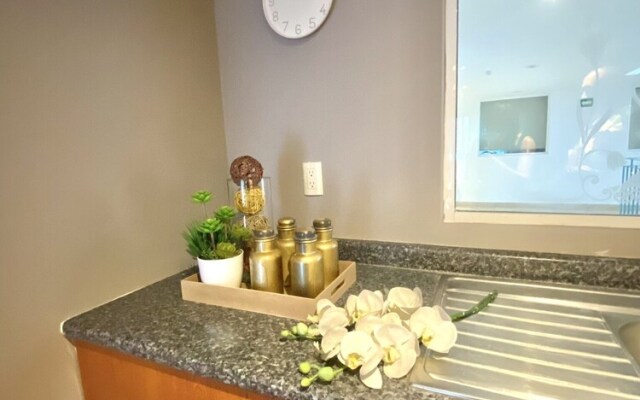 Cozy Stlish Rooms in Polanco