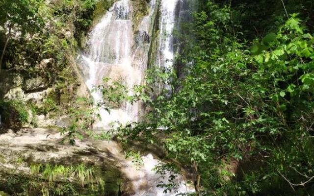 Brou-seillon : entre histoire et nature