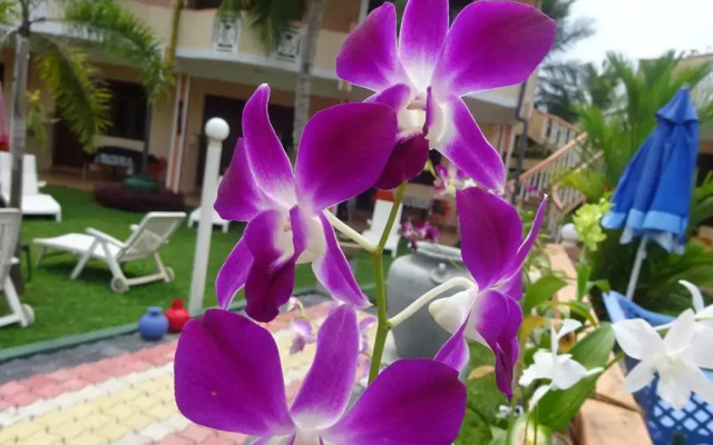 Hilda Guest House