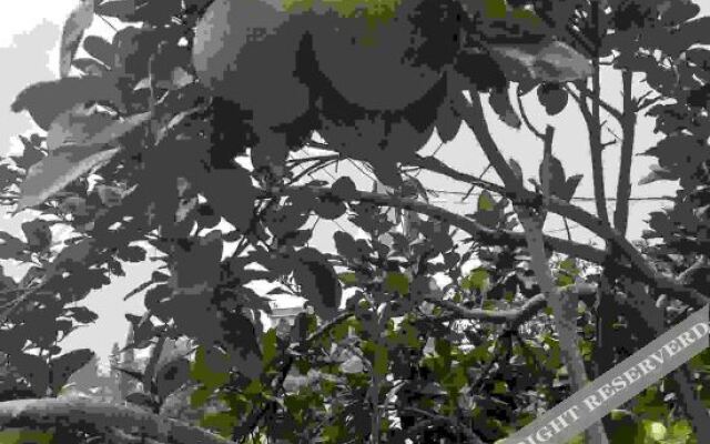 Shaoshan Huayazi Hotel