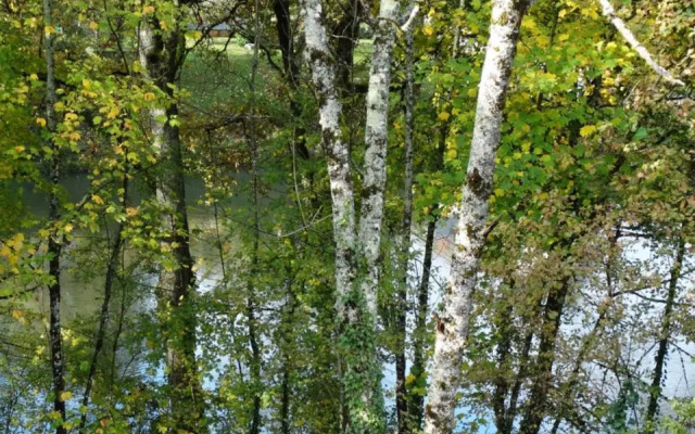 Le domaine du Parc Thermal
