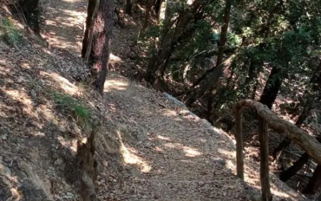 La quiete accesa