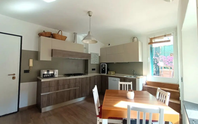 Delle Erbe The Nightlife