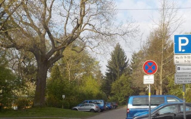 Traumkrone Wolfsburg