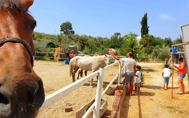 Patara Caretta Hotel