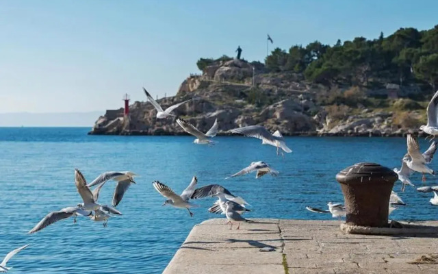 Apartment "None" Makarska