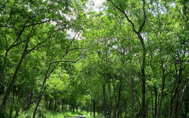 Kanthalloor Wild Stay