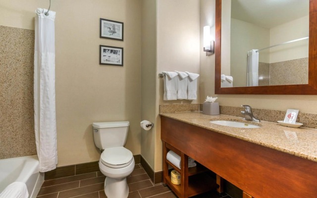 Comfort Inn & Suites Galt - Lodi North
