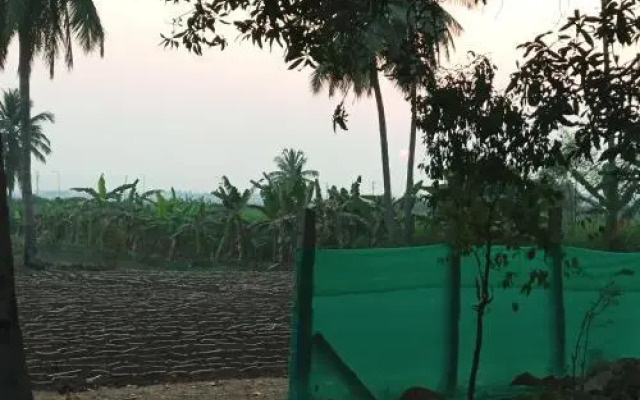 Vista Rooms at Venu Guest House