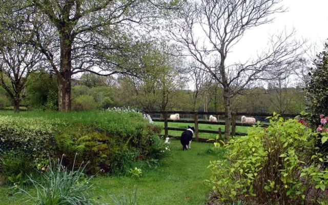 Burham Barn
