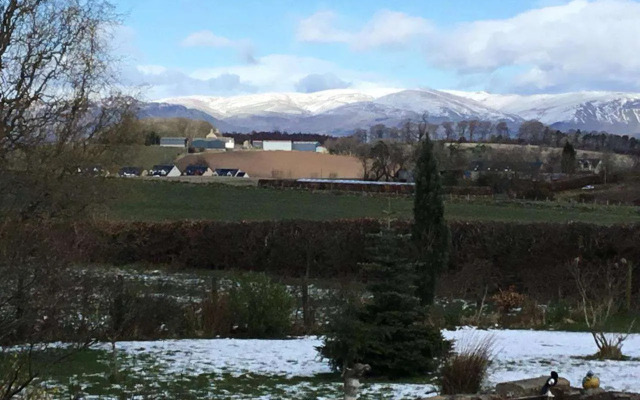 Woodcock Faulds House